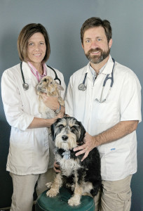veterinary_team_RGB